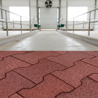 Dalles de pavage en caoutchouc de pneus recyclés écologiques - Absorption des chocs, isolation phonique, durables, emboîtables, design extérieur style ferme