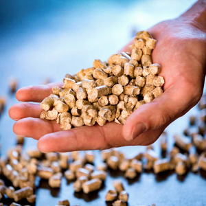 Granulés de bois naturels vierges en vrac, origine Brésil, pâte mécanique de première qualité, combustible biomasse - Product Image 1