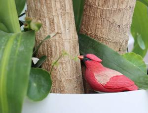 Garden Basix Humidimètre du sol Alarme <span class=keywords><strong>d</strong></span>'arrosage Gazouillement <span class=keywords><strong>Testeur</strong></span> <span class=keywords><strong>d</strong></span>'eau pour plantes Hygromètre Capteur Kit <span class=keywords><strong>d</strong></span>'outils <span class=keywords><strong>de</strong></span> jardinage pour plantes - Product Image 3