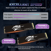 PUSKILL PCIE3.0 SSD NVME 256GB M.2 Kecepatan Tinggi dan Kapasitas Besar