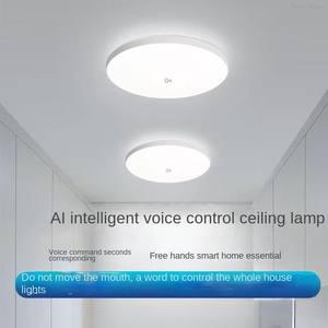 Lámpara de Techo LED Moderna de Metal y Acrílico con Sensor Inteligente para Iluminación de Hogar, Oficina, Escaleras, Pasillo y Entrada - Product Image 3