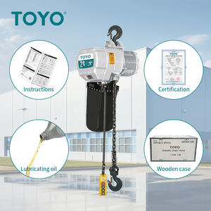 Offre Spéciale Japon Toyo Palan à chaîne 150Kg 500 Kgs sur roues pour grue - Product Image 4