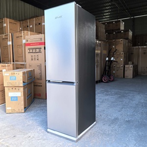 Frigorifero Elettrico Domestico a <span class=keywords><strong>Doppia</strong></span> <span class=keywords><strong>Porta</strong></span>, Grande Capacità 170L, con Raffreddamento Diretto - Product Image 2