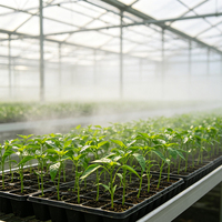 Serre commerciale multi-chapelles en verre moderne pour légumes et fleurs, avec système hydroponique pour tomates, pour le Nigeria