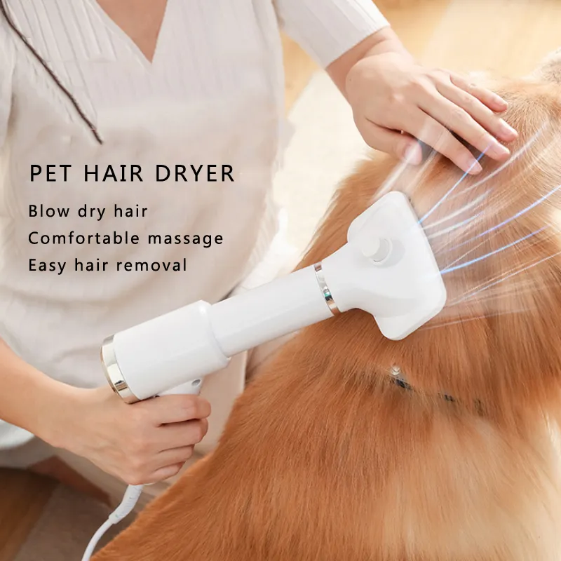 2020 Hot selling Pet grooming tools 2 in 1 electric high-power mute pet hair dryer brush for small cats and dogs