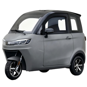 Tricycle électrique fermé avec cabine, <span class=keywords><strong>scooter</strong></span> électrique à <span class=keywords><strong>3</strong></span> <span class=keywords><strong>roues</strong></span>, mobilité, vitesse de 25 km/h, pour personnes âgées, pas besoin de <span class=keywords><strong>permis</strong></span> de conduire - Product Image 2