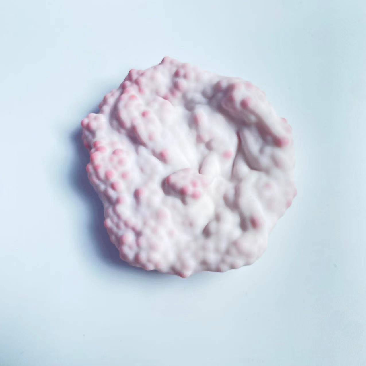 Gâteau de riz gluant [petite perle rouge] 6cm