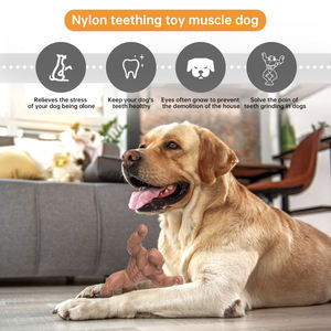 Nouveau chien jouets de dentition mordre Nylon mordre pas pourri mâcher jouets pour <span class=keywords><strong>chiens</strong></span> de compagnie fournitures pour animaux de compagnie - Product Image 3