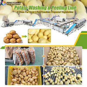 สายการผลิตมันฝรั่งปอกเปลือกอัตโนมัติ เครื่องป้อนมันฝรั่ง เครื่องล้างและปอกเปลือกสำหรับขายส่งมันฝรั่ง - Product Image 4