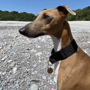 Fullto, duradero y elegante, correas personalizadas, collares para perros, <span class=keywords><strong>Collar</strong></span> de perro <span class=keywords><strong>Martingale</strong></span> ancho para entrenamiento - Product Image 1