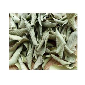 Высокое качество, оптовая продажа, новые высушенные натуральные листья псидия гуахава, не экстракт для продажи - Product Image 3