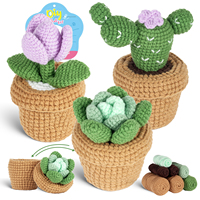 Kit de Crochet Créatif Premium pour Mini Pot de Plantes Succulentes Cactus – Ornement Artisanal en Fil Fait Main pour Décoration de Bureau