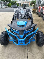 Go Kart Todoterreno 2026 Easy-go, Nuevo, de Alta Velocidad, 200cc/300cc, Precio Económico, 2 Plazas, a Gasolina, Buggy para Adultos