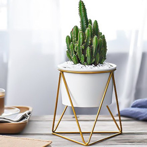 <span class=keywords><strong>Support</strong></span> de pot de plante moderne de haute qualité <span class=keywords><strong>support</strong></span> de <span class=keywords><strong>fleur</strong></span> d'intérieur en fil métallique avec fonction de roulement pour le type d'emballage de bureau ou de sol - Product Image 3