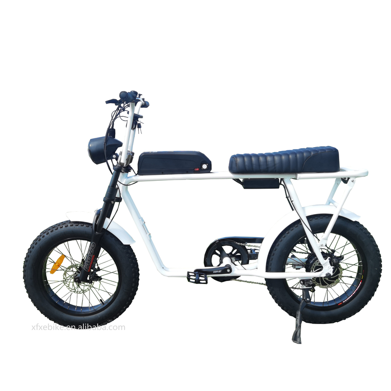 Cheap Foldable Aluminum Alloy Electric Bike