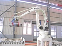 Bras robotique manipulateur mécanique de transport industriel à bas prix