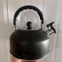 Bouilloire à induction en acier inoxydable au design classique, légère, à fond plat, avec poignée en plastique et couvercle