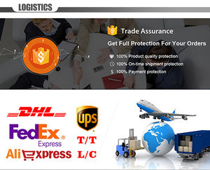 Magic Tree House Serie Piccola Enciclopedia 1-40 Libri Set Libri per Bambini con Capitoli Illustrati Copertina Morbida in Carta Patinata - Product Image 5