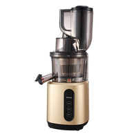 Professionele Maatwerk Elektrische Fruit Slow Juicer Touch Control Grote Mond Koude Pers Commerciële Juicer