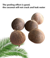 Machine à retirer la coque de noix de coco / Machine à éplucher la noix de coco