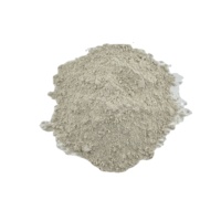Échantillon Gratuit Fourni : Poudre de Kyanite de Haute Qualité 200 Mesh Al2O3>56% pour la Céramique et le Moulage