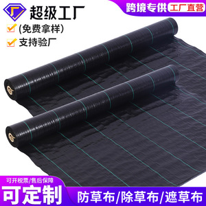 Custom Made Perforated Weed Control Fabric Black Non Woven Anti Uv Garden Ground Cover Shandong Origin - Product Image 3