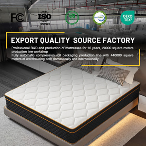 OEM ikiz tam kraliçe kral yatak 14 inç örme kumaş vakum oteller ve yatak odası için haddelenmiş 10 yıl garanti Modern tasarım - Product Image 2