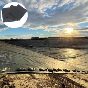 HDPE moderno 1mm Geomembrana Anti-UV LLDPE Material para piscifactoría estanque presa embalse lago Artificial humedal Parque paisaje - Product Image 3