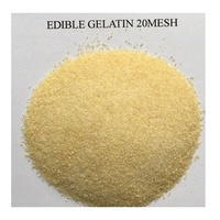 Sunway Supply Bulk Gelatine Halal Food Grade Varkens Gelatine Poeder Prijs 200 240 300 Bloei Halal Snoep