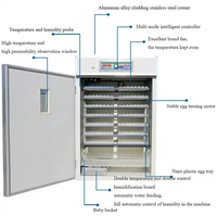 Garantie Incubateur de poulet solaire pas cher entièrement automatique/machine à couver les œufs nouveau mis à niveau