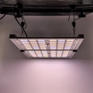 LED kurulu büyümek ışık quantam 240w ir uv isteğe bağlı