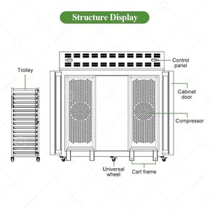 Congelador Industrial Vertical Mini de 6 Toneladas para Pescado Pequeño, Congelador Rápido DC con Bandejas, Equipo para Alimentos en Venta - Product Image 5