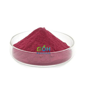 Fabricante GOH Suministra Extracto de Bayas de <span class=keywords><strong>Maqui</strong></span> en Polvo de Alta Cantidad - Product Image 2