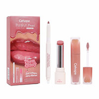 Ensemble de maquillage pour les lèvres 3 en 1 personnalisable : Crayon contour des lèvres en gel délicat, Rouge à lèvres brillant effet miroir, Gloss à lèvres hydratant rosé, Gloss à lèvres effet rosée