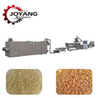 Ligne de traitement du riz artificiel toutes capacités, machine extrudeuse de riz nutritionnel à double vis