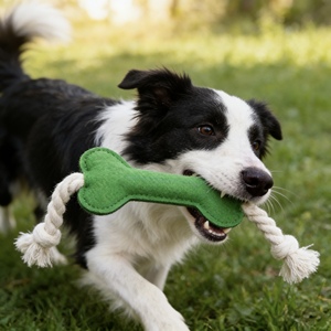 Juguete Masticable para Perros Ecológico Multicolor con Logotipos Personalizados 2026, Juguete Duradero con Forma de Hueso y Cuerda, Material Resistente al Desgaste - Product Image 2