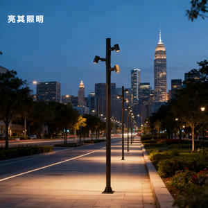 โคมไฟสวน โคมไฟภูมิทัศน์กลางแจ้ง โคมไฟเสาสูงโครงอะลูมิเนียมสำหรับชุมชน โคมไฟถนนพลังงานแสงอาทิตย์สำหรับสวนสาธารณะ ไฟ LED 3 เมตร 4 เมตร กันน้ำ - Product Image 5