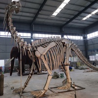Répliques de squelette de dinosaure grandeur nature personnalisées Modèles réalistes de dinosaures en fibre de verre pour parcs et expositions en plein air