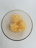 Großhandel kultivierte silberne Tremella Fuciformis Pilze getrocknete weiße Pilze essbare ganze rohe Lebensmittel wilde frische Tasche Verpackung