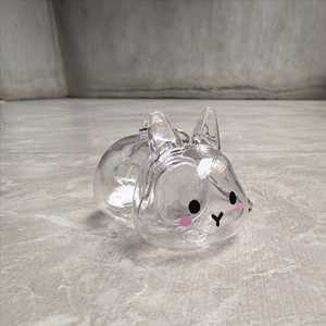 Boîte de rangement transparente en forme de lapin mignon pour poils, pendentif porte-clés, souvenirs de sac à dos, capsule de conservation de poils d'animaux - Product Image 4