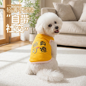 Ropa de malla de seda para mascotas, cuello en V, transpirable, para verano, todas las estaciones, para perros y gatos - Product Image 1