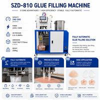 Machine de remplissage de colle industrielle contrôlée par PLC, ligne de remplissage et de scellage de produits en silicone, fabricant