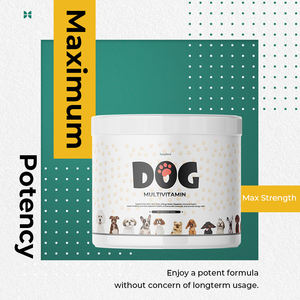 Superfood çilek, probiyotikler, glukozamin destek kalça eklem, cilt ceket, sindirim, bağışıklık sağlığı ile OEM köpek Multivitamin - Product Image 5