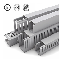 WBO 2m PVC Trunking Gestion des câbles fendus 20*20 Conduits de câblage