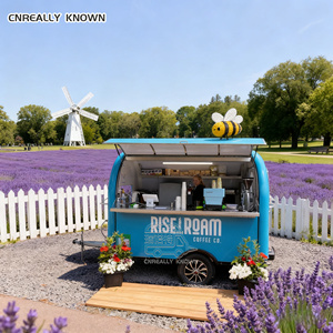Camion de restauration rapide mobile standard américain 2025 avec friteuse, remorque de restauration rapide, camion de restauration rapide à Dubaï - Product Image 4