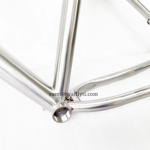 Cadre de VTT en alliage de titane sur mesure pour pneu 29 pouces et type de frein à disque Cruisers avec décrochage UDH pour VTT - Product Image 2