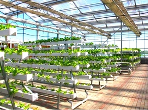 Large Multi-Span Agricultural Greenhouses Low <strong>Cost</strong> <strong>Poly</strong> <strong>Tunnel</strong> for Cucumber Vegetables &amp; Tomato Growth PC Sheet Cover - Product Image 4