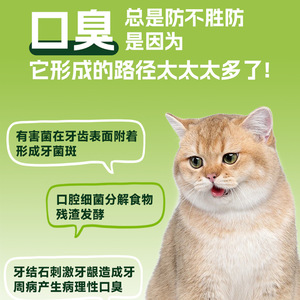 Snacks Liofilizados Berry Fresh Breath de 40g para Gatos y Perros, Cuidado Dental - Product Image 3