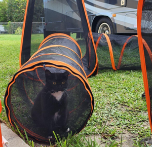 6-in-1 dễ dàng gấp ngoài trời pop-up Pet lều với Mèo Đường hầm Khay Nhựa thùng cho trong nhà Mèo Hộp đóng gói - Product Image 5