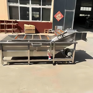 Máquina automática para lavar verduras, línea de limpieza y secado para compras al por mayor, máquina para lavar chiles rojos, altamente recomendada - Product Image 2